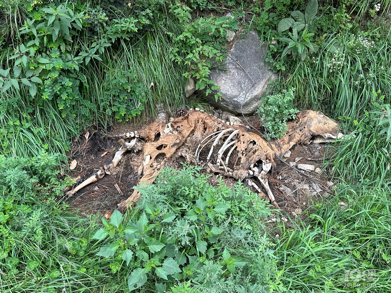 一个人单车滇藏线骑行之旅