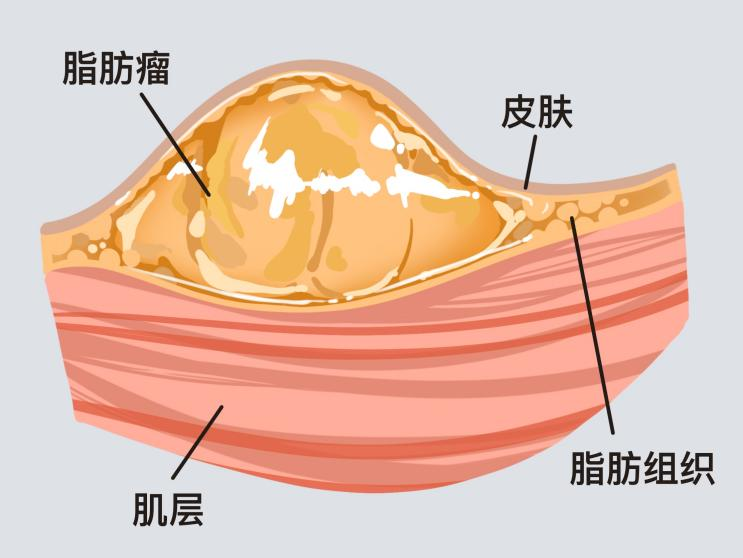 @10N ˡ䌍󲿷֟oί