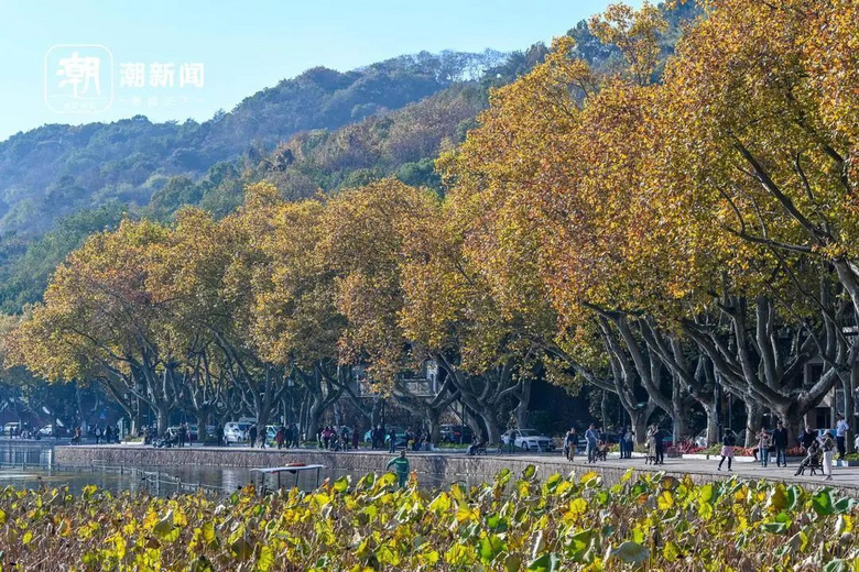 冷空气杀到！连续5天超级冷，浙江要入冬？