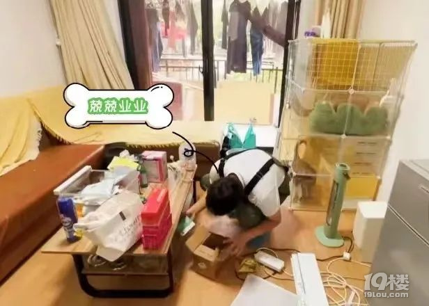 最多一天能赚900！00后杭漂小伙本科毕业后转行做家政……