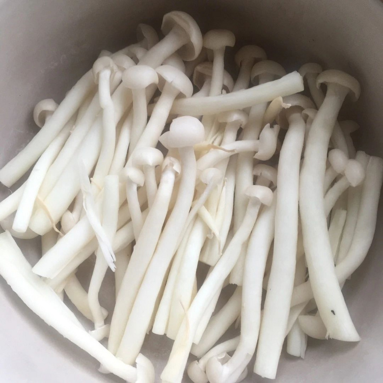 簡易版三鮮砂鍋燉,懶人小白零失敗