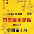 音乐艺考生考上中央音乐学院真的很难吗？_图4