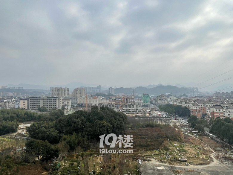 這是開發(fā)商跑路了嗎？？？有知道的嗎？