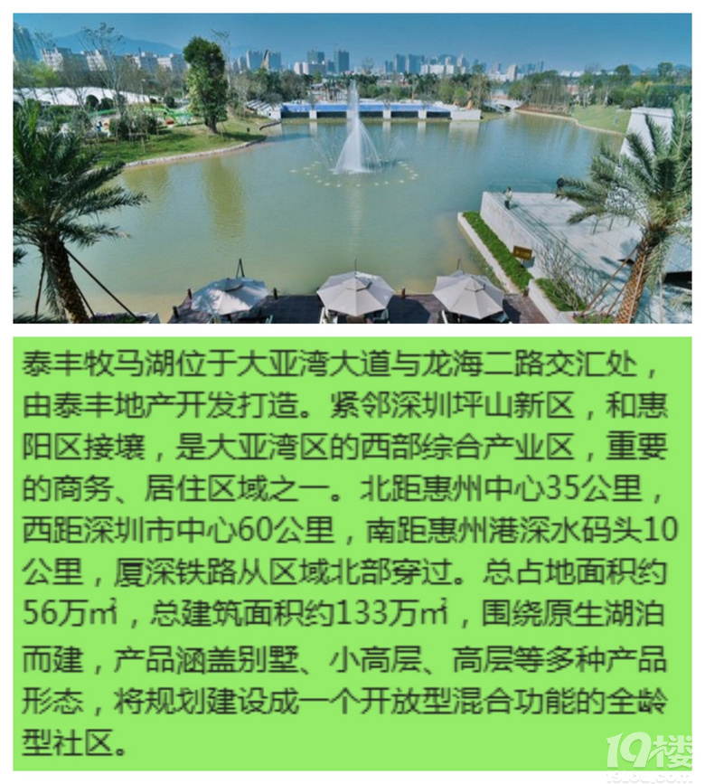 ��̩����������վ�����µ���ü����������Ų�������