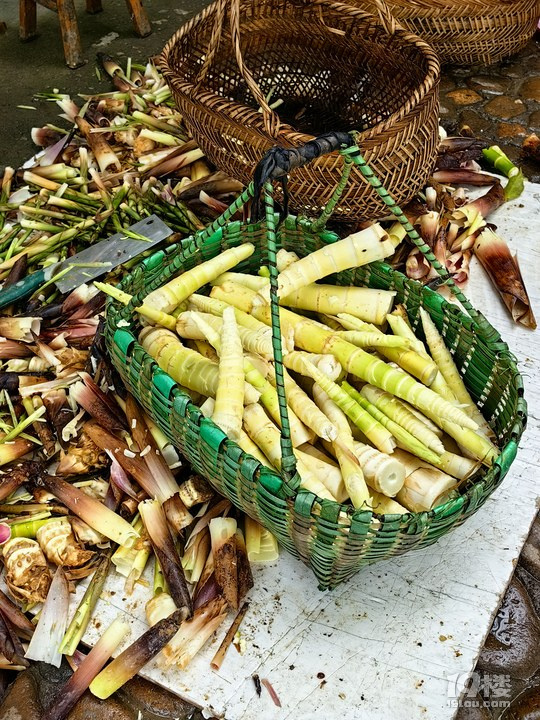 美丽乡村：富阳区吉庆农庄