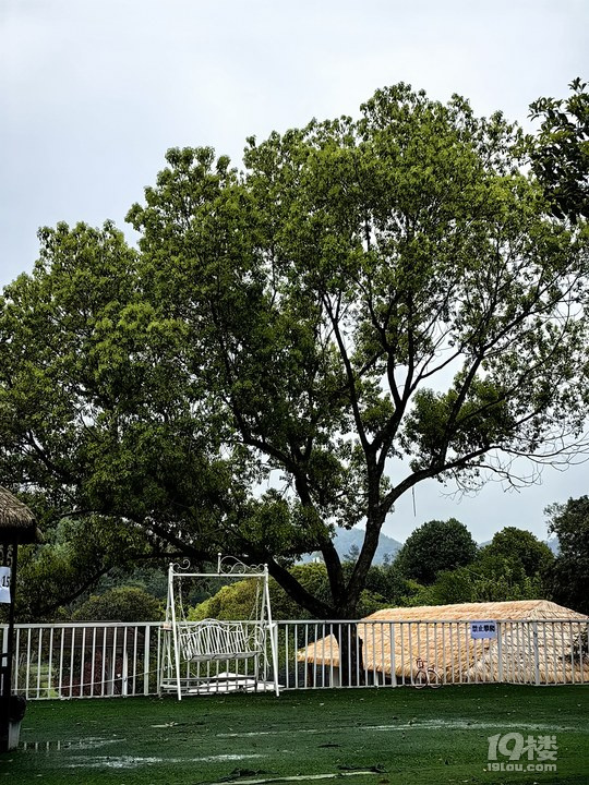 美丽乡村：富阳区吉庆农庄