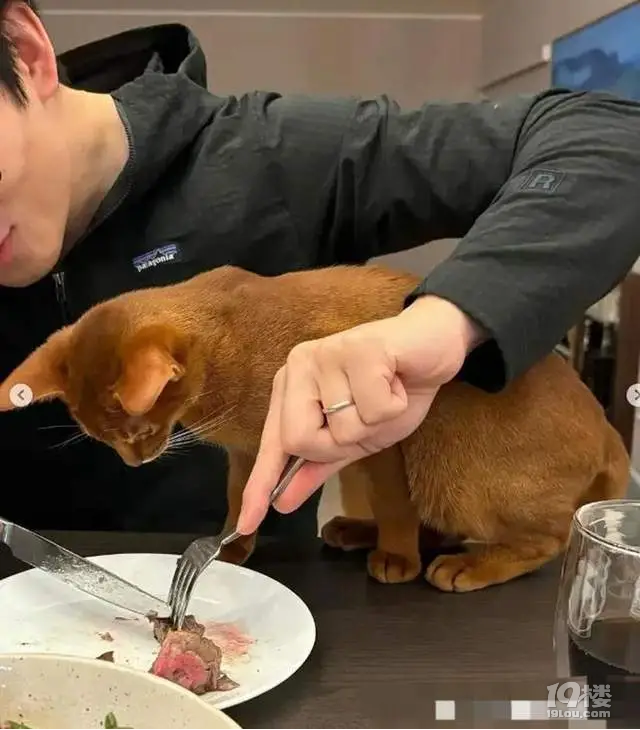 三觀不合導致的悲劇