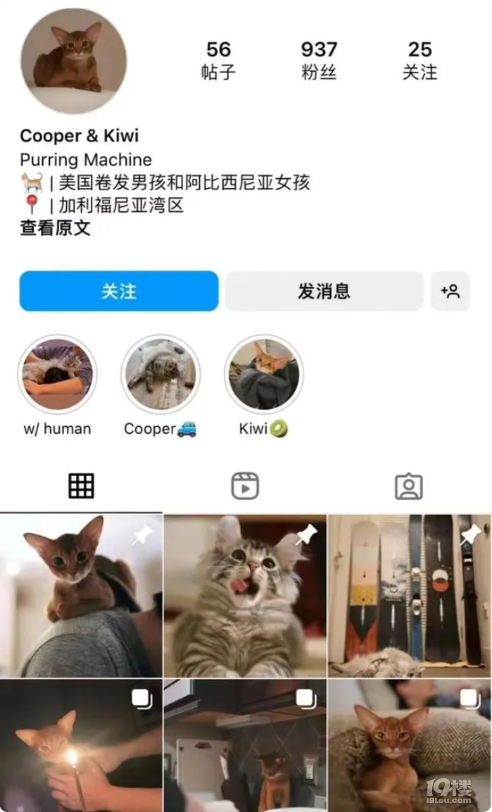 三觀不合導致的悲劇