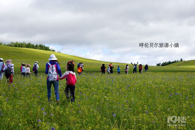 呼伦贝尔暑假亲子游|呼伦贝尔大草原7天6晚夏令营