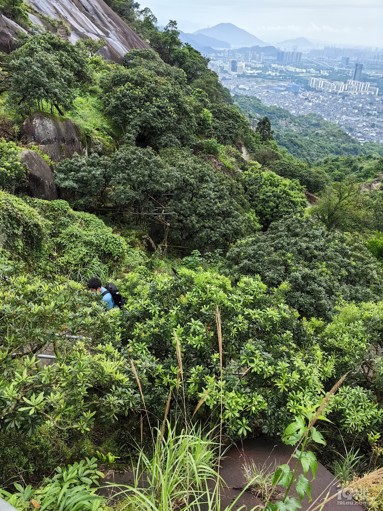 溫州大羅山=51勞動+54青年+艱辛12小時登山路