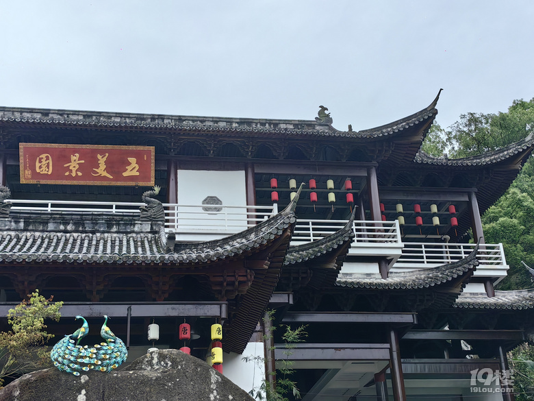 溫州大羅山=51勞動+54青年+艱辛12小時登山路