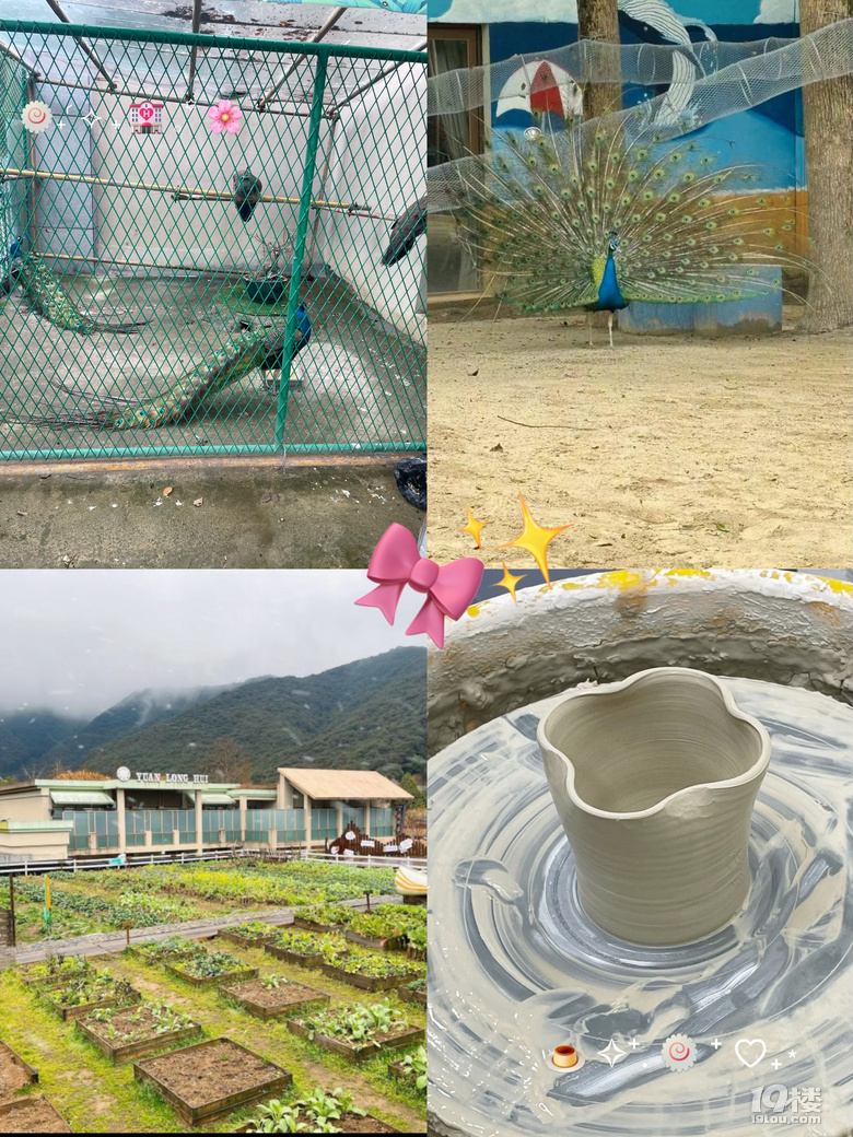 遛娃时间，就想把每个瞬间定格住