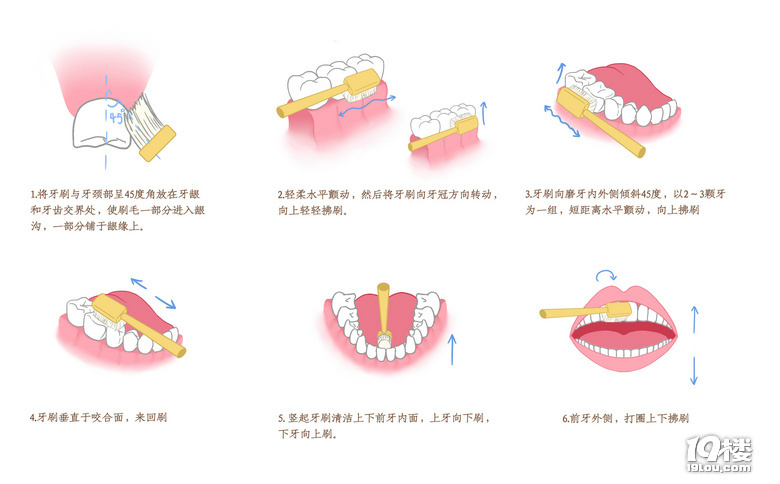 “云”養(yǎng)小白牙——21天打卡挑戰(zhàn)