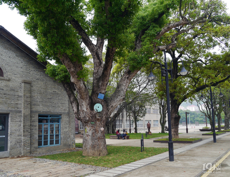 【2024晒游记】妞行万里路，汤圆福建游