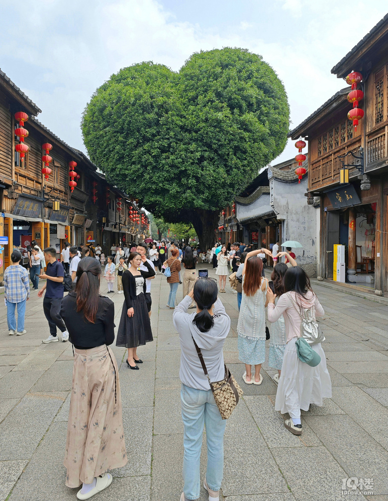 【2024晒游记】妞行万里路，汤圆福建游