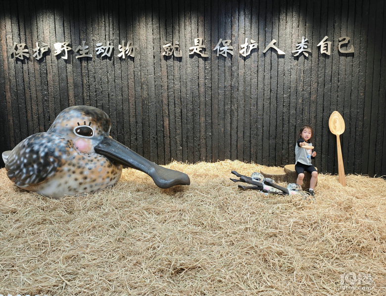 【2024晒游记】妞行万里路，汤圆福建游