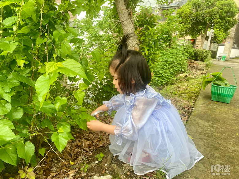 從蠶卵到蠶絲扇的奇妙之旅