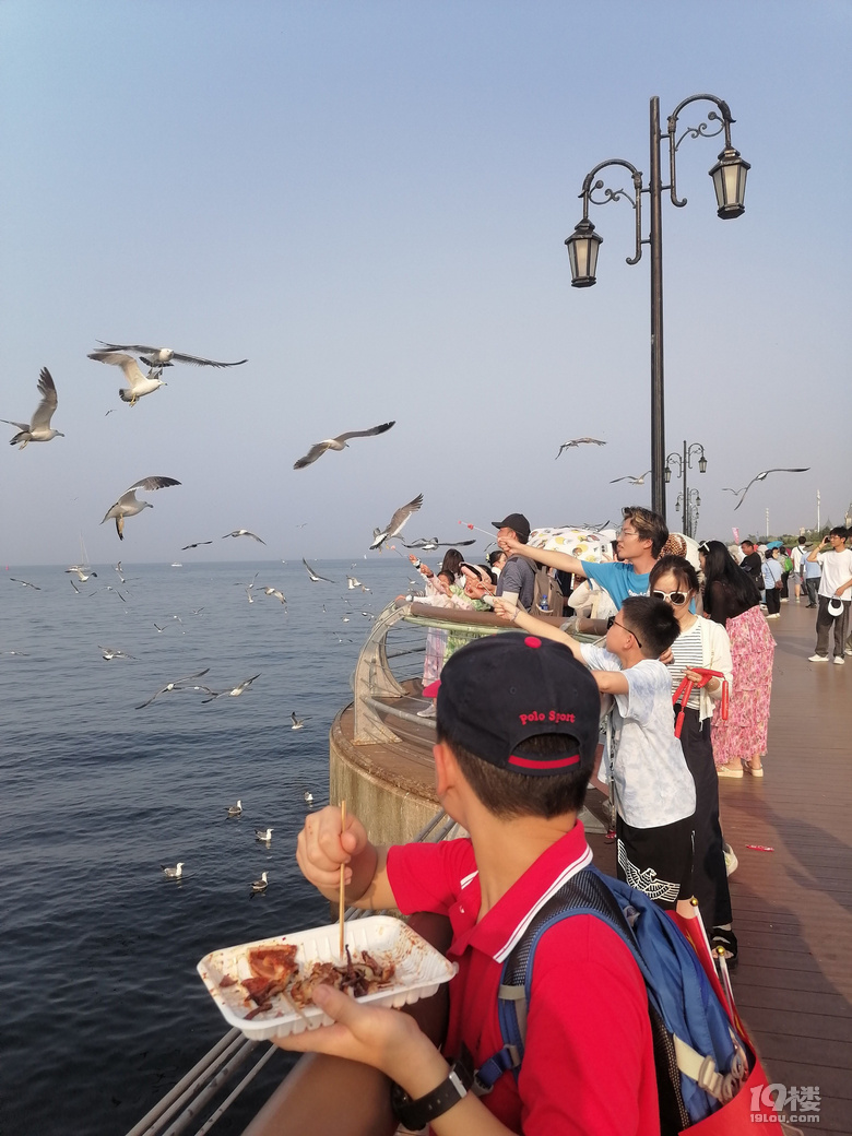 感受大连海韵——在大连短住十五天，考游艇驾照和深度旅游两不误