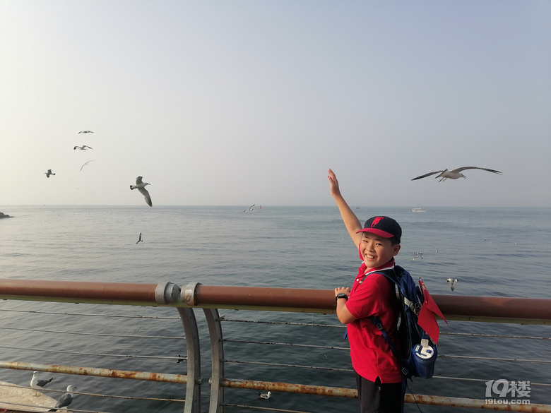 感受大连海韵——在大连短住十五天，考游艇驾照和深度旅游两不误