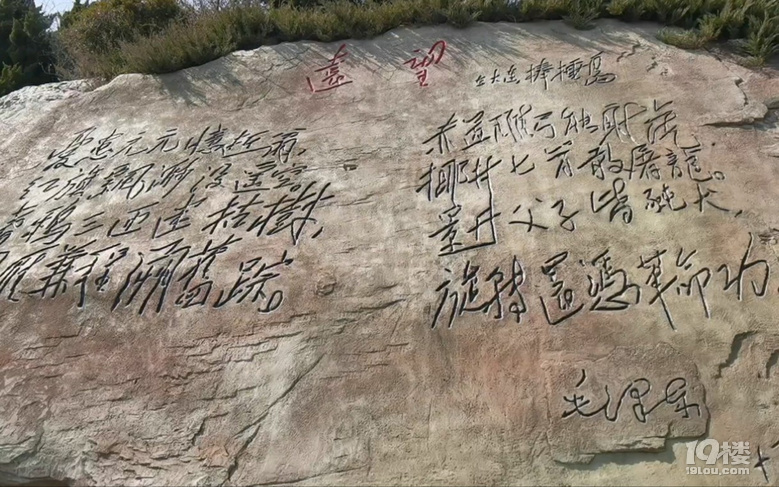 感受大连海韵——在大连短住十五天，考游艇驾照和深度旅游两不误