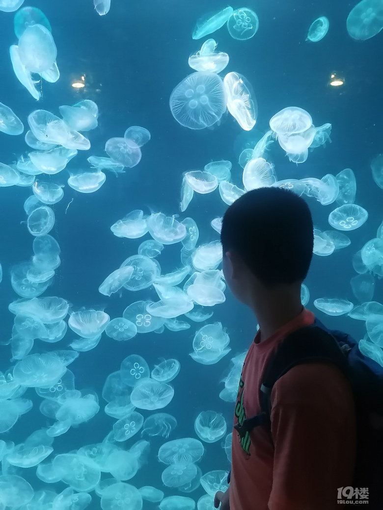 感受大连海韵——在大连短住十五天，考游艇驾照和深度旅游两不误