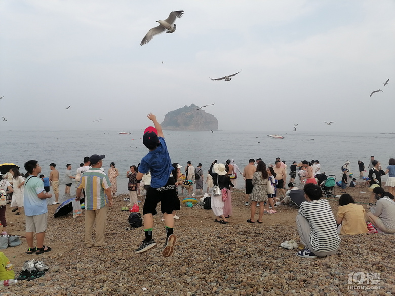 感受大连海韵——在大连短住十五天，考游艇驾照和深度旅游两不误