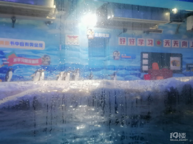 感受大连海韵——在大连短住十五天，考游艇驾照和深度旅游两不误