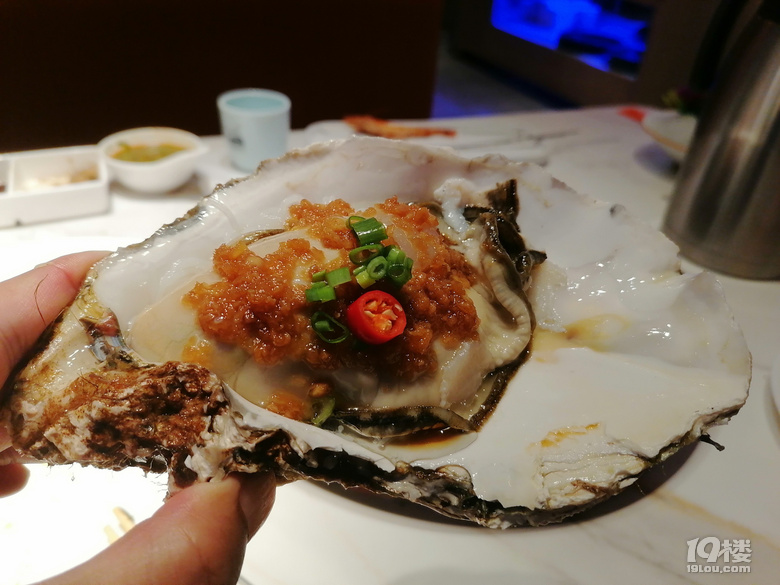 感受大连海韵——在大连短住十五天，考游艇驾照和深度旅游两不误