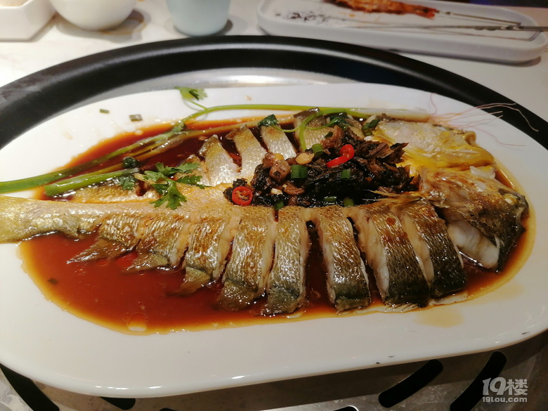 感受大连海韵——在大连短住十五天，考游艇驾照和深度旅游两不误