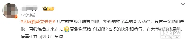 大熊貓“戴立”去世,費(fèi)翔發(fā)文