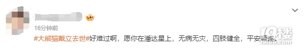 大熊貓“戴立”去世,費(fèi)翔發(fā)文