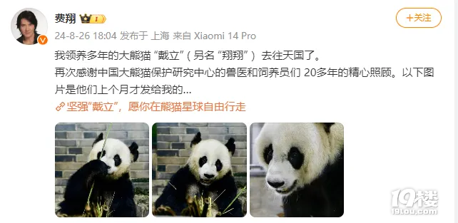 大熊貓“戴立”去世,費(fèi)翔發(fā)文