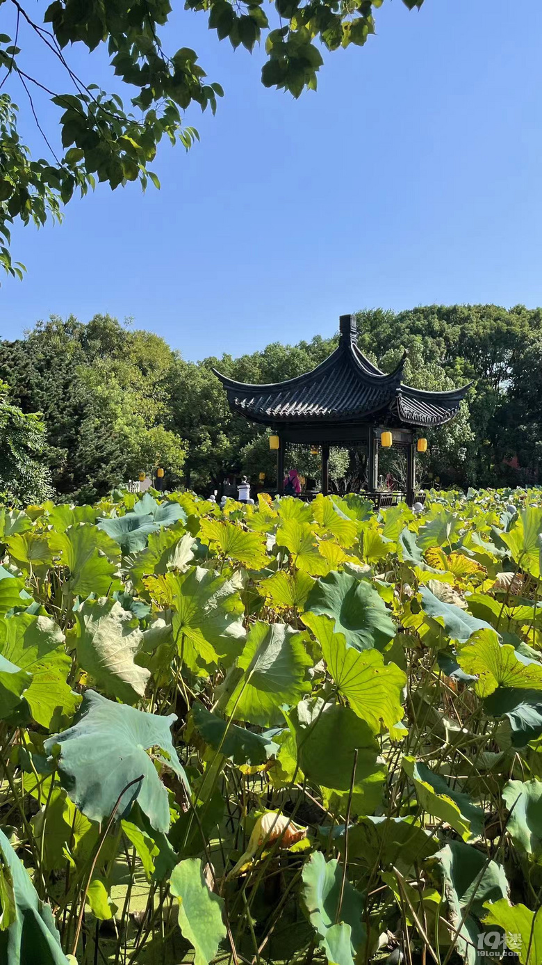 【2024晒游记】最好的江南小镇渔乡荻港一日行