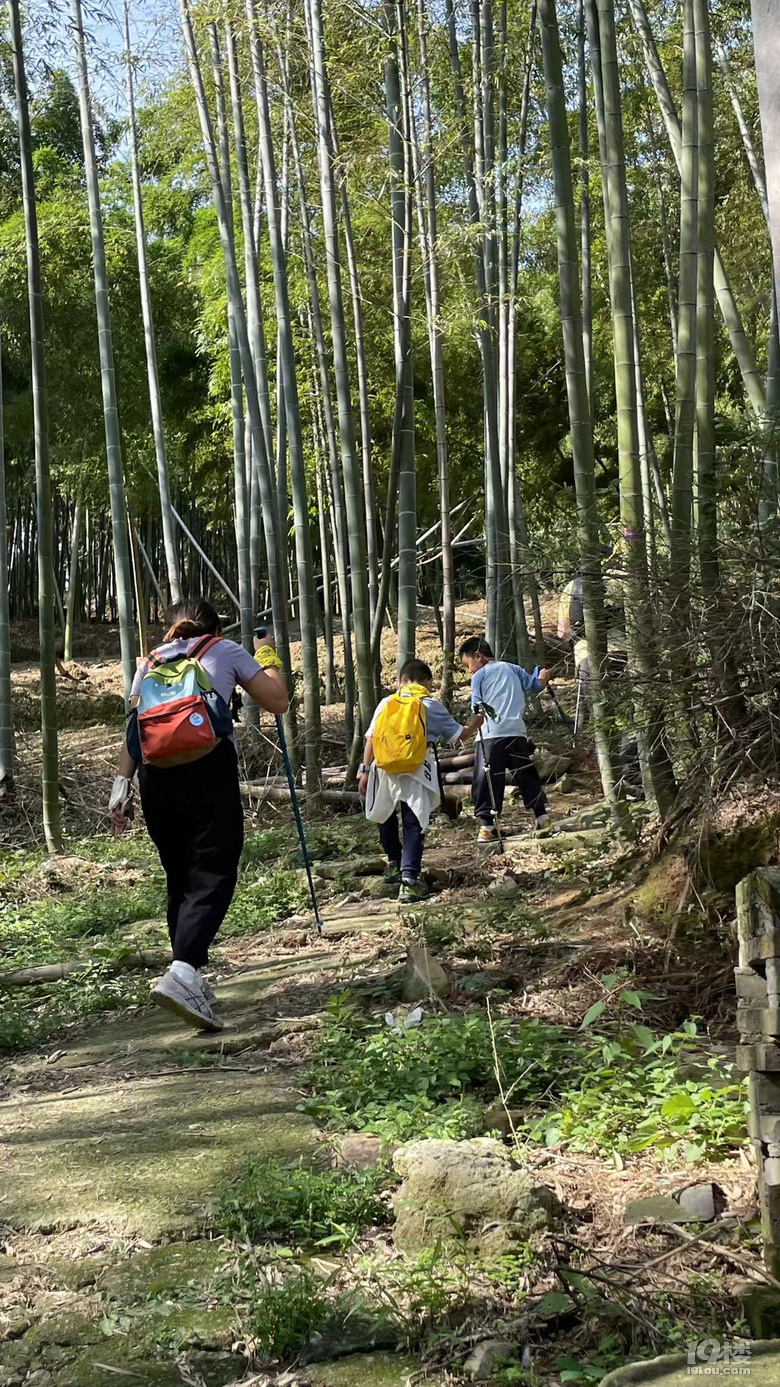【2024晒游记】最好的江南小镇渔乡荻港一日行