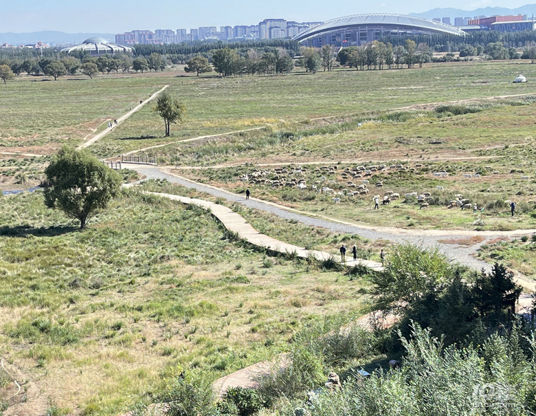 【2024晒游记】妞行万里路，汤圆内蒙游