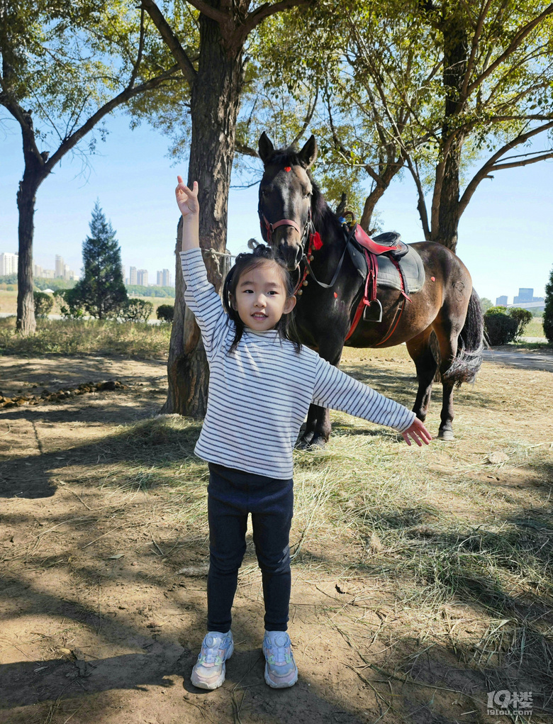 【2024晒游记】妞行万里路，汤圆内蒙游