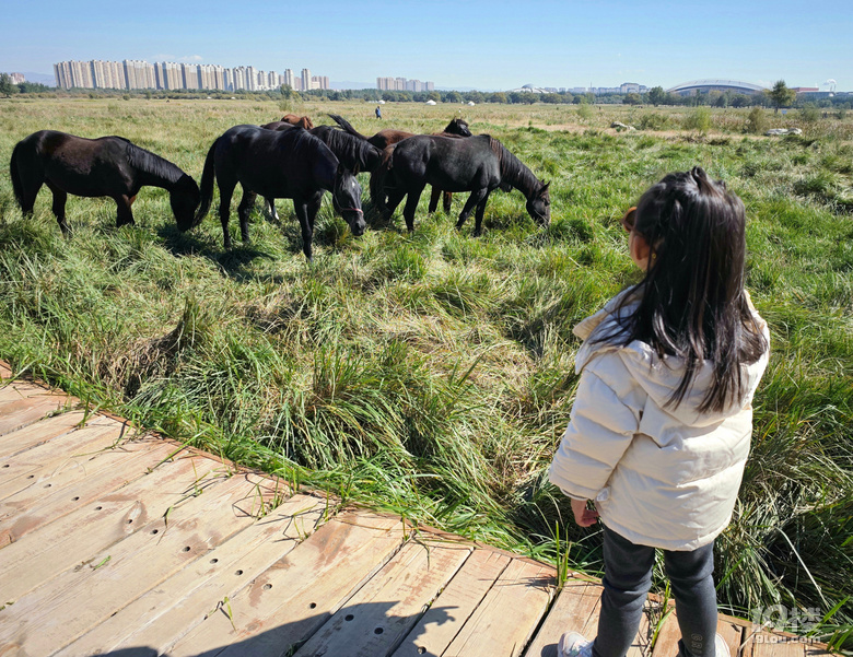 【2024晒游记】妞行万里路，汤圆内蒙游