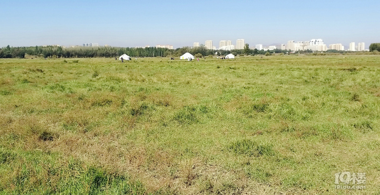 【2024晒游记】妞行万里路，汤圆内蒙游