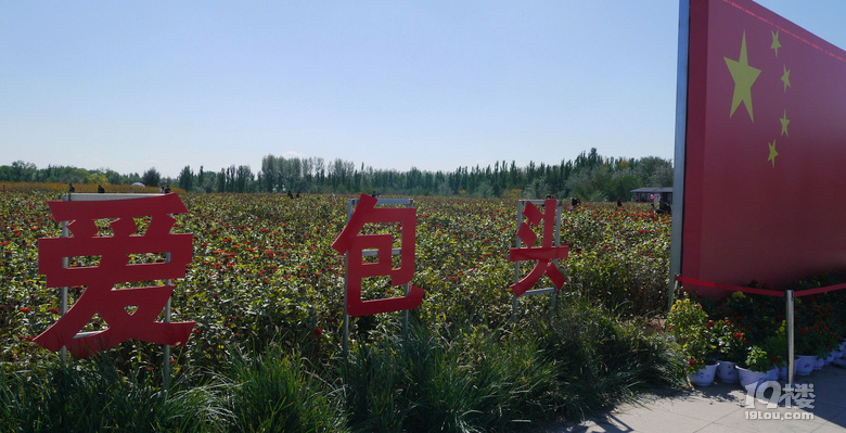 【2024晒游记】妞行万里路，汤圆内蒙游