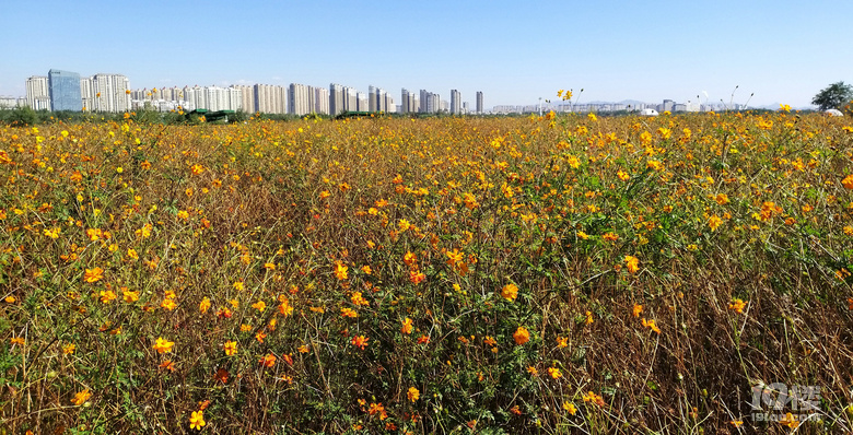 【2024晒游记】妞行万里路，汤圆内蒙游