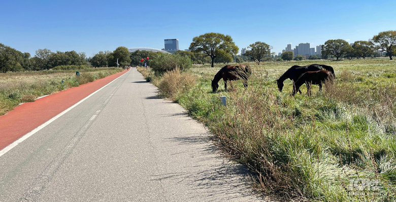 【2024晒游记】妞行万里路，汤圆内蒙游