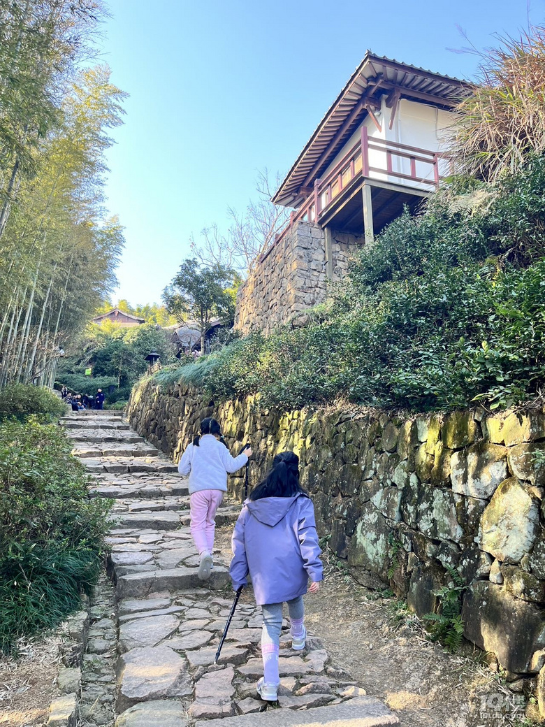【已截止】安利冬日遛娃地 赠灵隐寺“喜见升卿”新年祈福年历