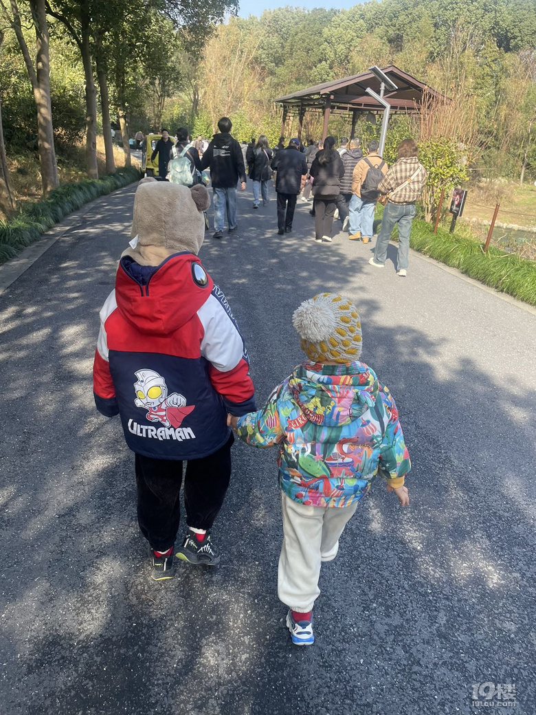 【已截止】安利冬日遛娃地 赠灵隐寺“喜见升卿”新年祈福年历