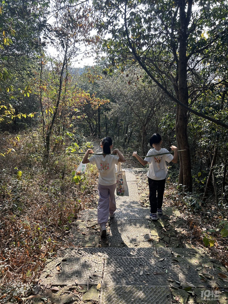 【已截止】安利冬日遛娃地 赠灵隐寺“喜见升卿”新年祈福年历