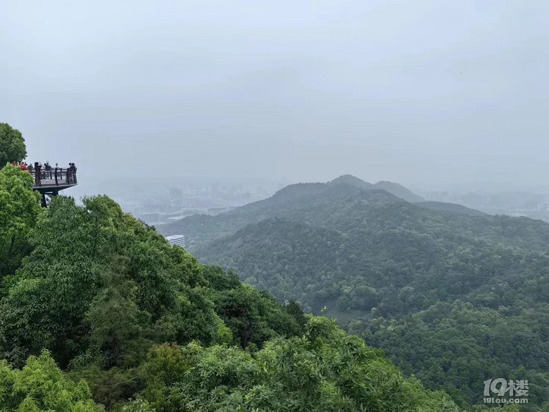 【已截止】安利冬日遛娃地 赠灵隐寺“喜见升卿”新年祈福年历