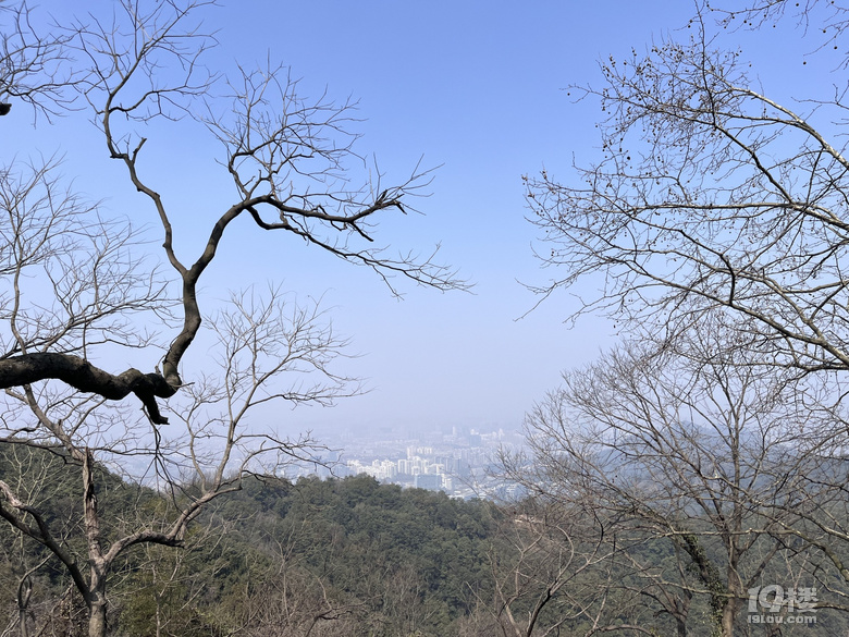 【已截止】安利冬日遛娃地 赠灵隐寺“喜见升卿”新年祈福年历