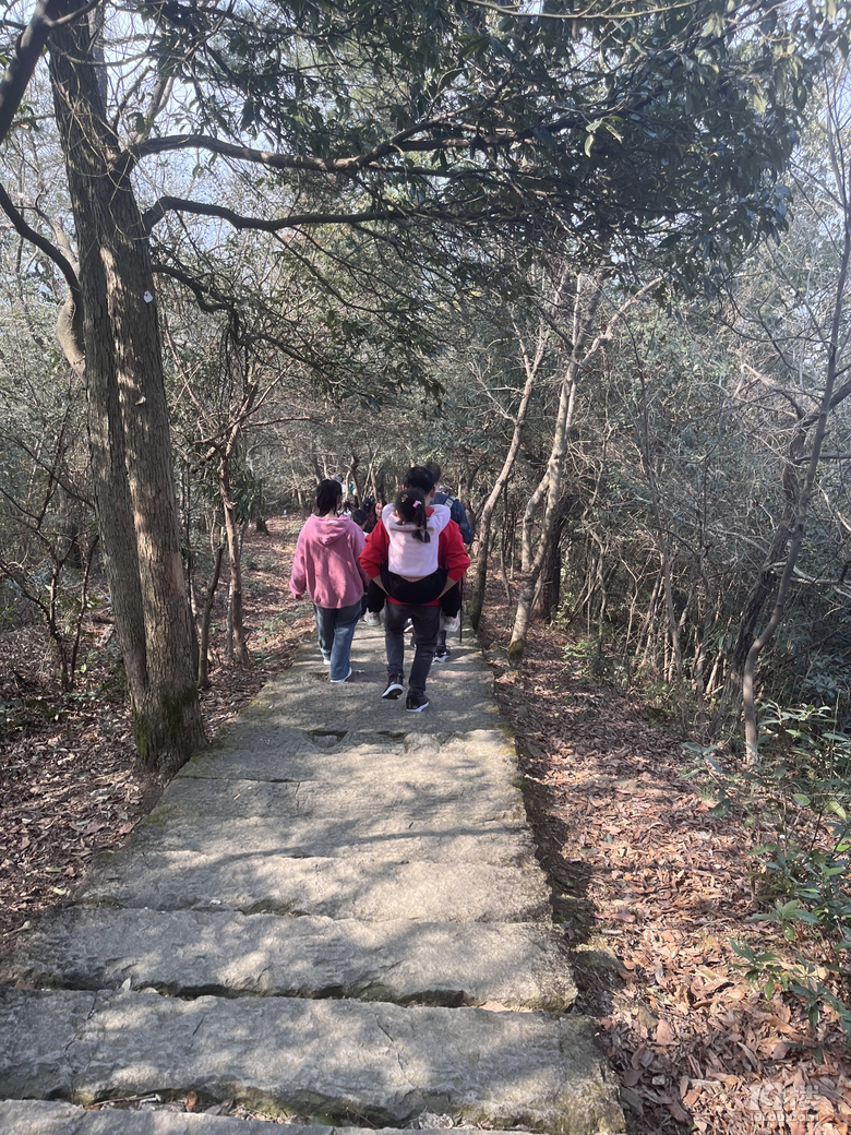 【已截止】安利冬日遛娃地 赠灵隐寺“喜见升卿”新年祈福年历