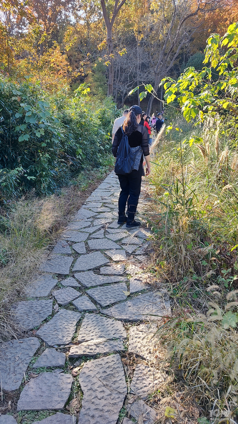 【已截止】安利冬日遛娃地 赠灵隐寺“喜见升卿”新年祈福年历