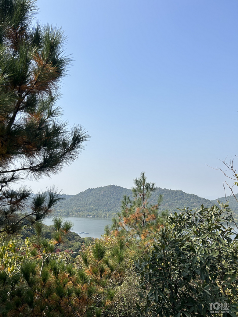【已截止】安利冬日遛娃地 赠灵隐寺“喜见升卿”新年祈福年历
