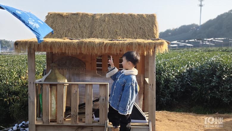 【已截止】安利冬日遛娃地 赠灵隐寺“喜见升卿”新年祈福年历